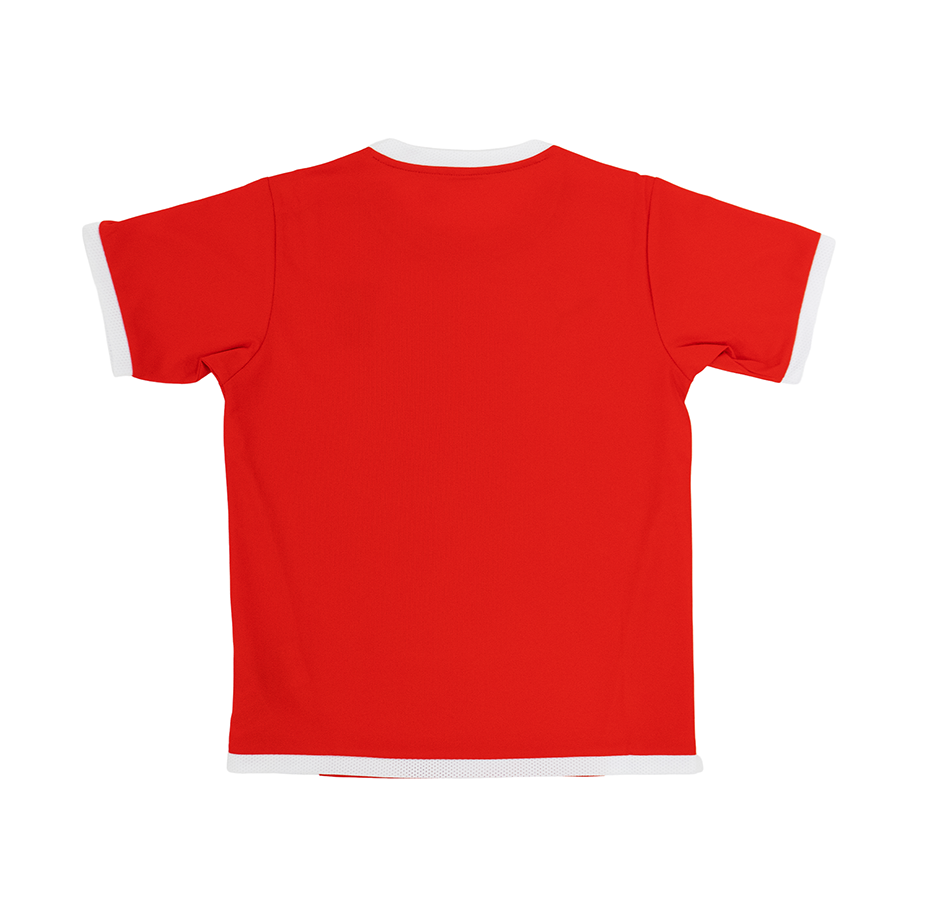 ProdutosLoja(edit)_0018_Curvas-4